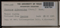 Image Associated With the Occurence